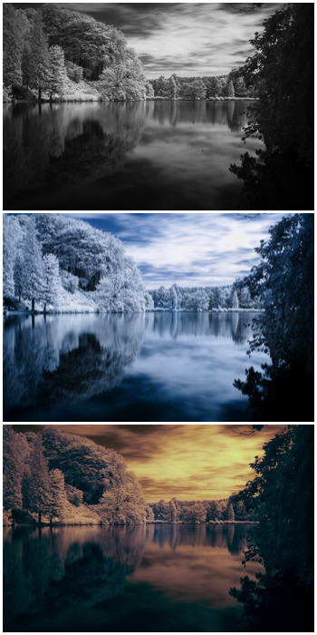 Триптих, показывающий одну и ту же фотографию с тремя различными стилями редактирования инфракрасной фотографии