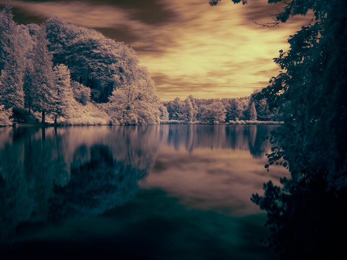 Итоговое изображение отредактированной инфракрасной фотографии пруда в Бельгии