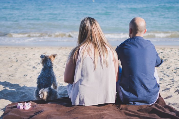 Спокойная пляжная фотография сидящей пары и маленькой собаки на песке и смотрящей в море