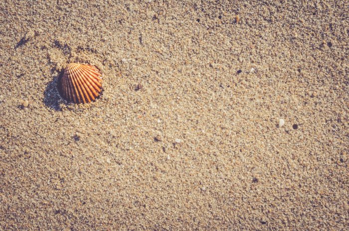 Снимок сверху ракушки на песке, креативные идеи для пляжной фотографии.