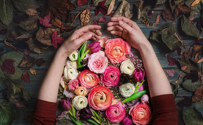Cosy autumn flat lay photo of the persons arms gathering colored flowers on the wooden background