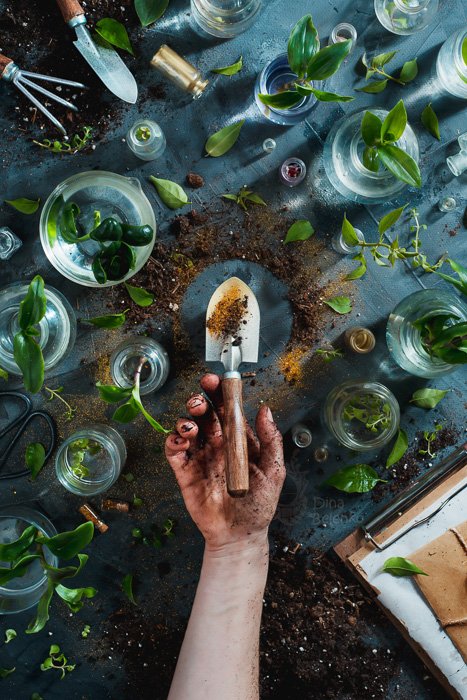 Садоводческая тематическая идея плоского натюрморта с растениями в стеклянных банках и рукой, держащей покрытый землей совок