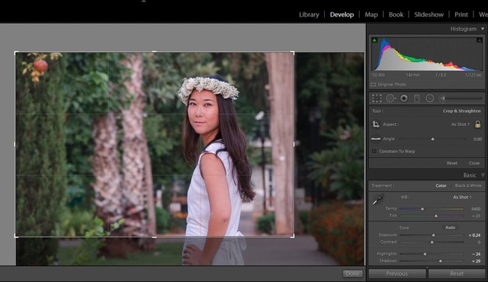 using grid in lightroom to crop photo of woman in the white dress wearing a flower crown