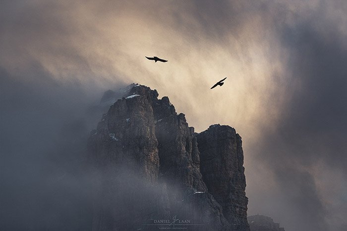 Две альпийские куропатки кружатся в тумане над Лагазуой в Доломитовых Альпах.