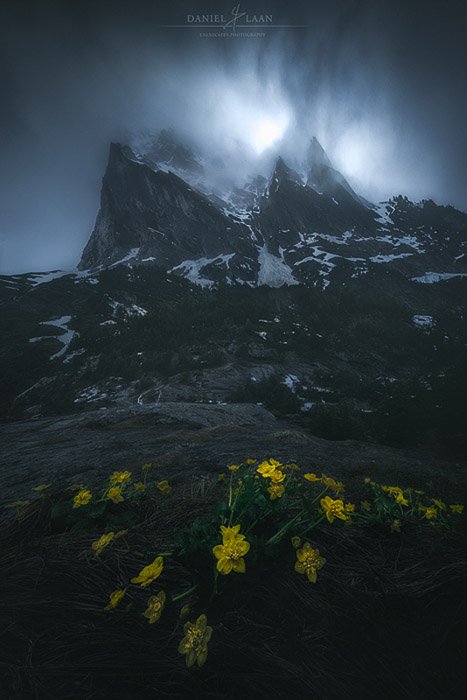 Мрачная атмосферная фотография скалистых гор с желтыми цветами на переднем плане.