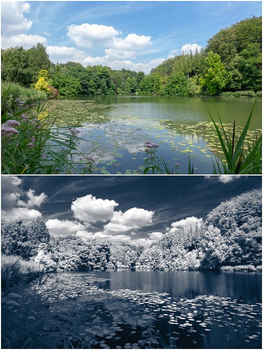 Сравнение одного и того же пейзажа при видимом (сверху) и инфракрасном освещении (снизу). 