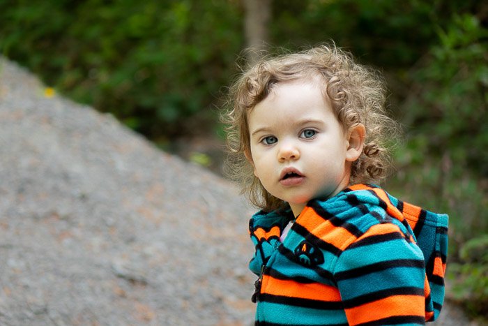 Снимок маленькой девочки, играющей в лесу во время семейной прогулки.