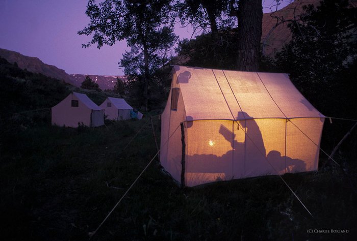 турист, читающий книгу в палатке, освещенной лампами в лесу, на фоне фиолетового сумеречного неба