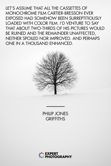 Силуэт дерева на фоне белого снежного пейзажа с цитатой из черно-белой фотографии Филипа Джонса Гриффитса
