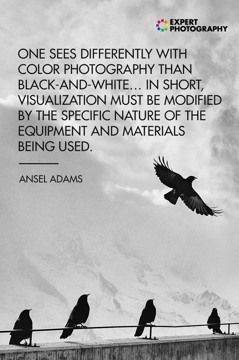 Фотография птиц, сидящих на стене, наложенная на цитату из черно-белой фотографии Анселя Адамса