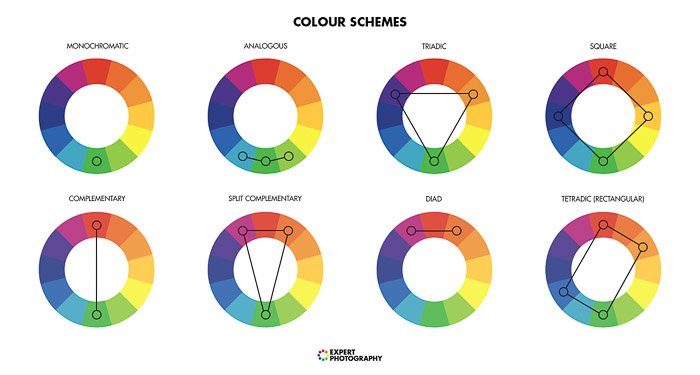 Диаграмма, объясняющая теорию цвета для лучших фотографий еды