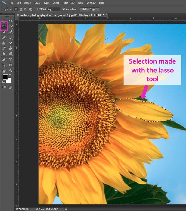 Скриншот использования ярлыка Lasso Tool инструментов выделения Photoshop