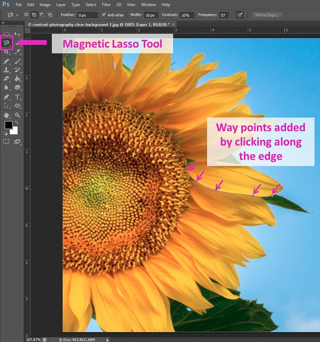 Скриншот использования ярлыка Photoshop Magnetic Lasso Tool