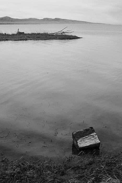 Те Вайхора (озеро Элсмир) в Кентербери, Новая Зеландия. Советы по черно-белой фотографии
