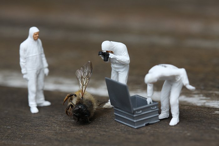 Toy action figures posed photographing the dead wasp