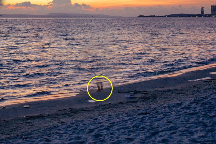 Скриншот, показывающий, как удалить что-то в фотошопе, используя фотографию женщины, идущей по пляжу в вечернее время