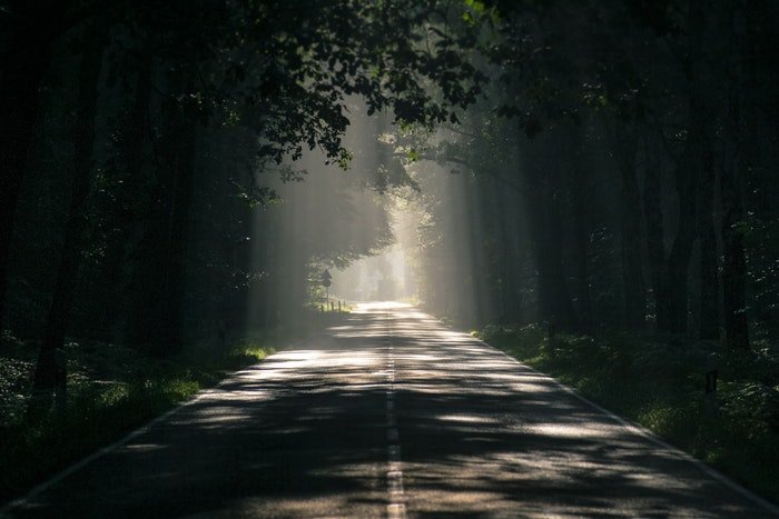 дорога через тенистый лес