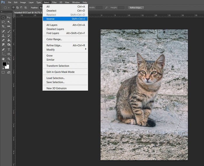 скриншот, показывающий, как редактировать фотографии в Photoshop для начинающих - инверсные слои