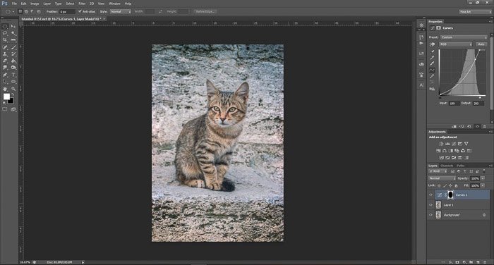 скриншот, показывающий, как редактировать фотографии в Photoshop для начинающих