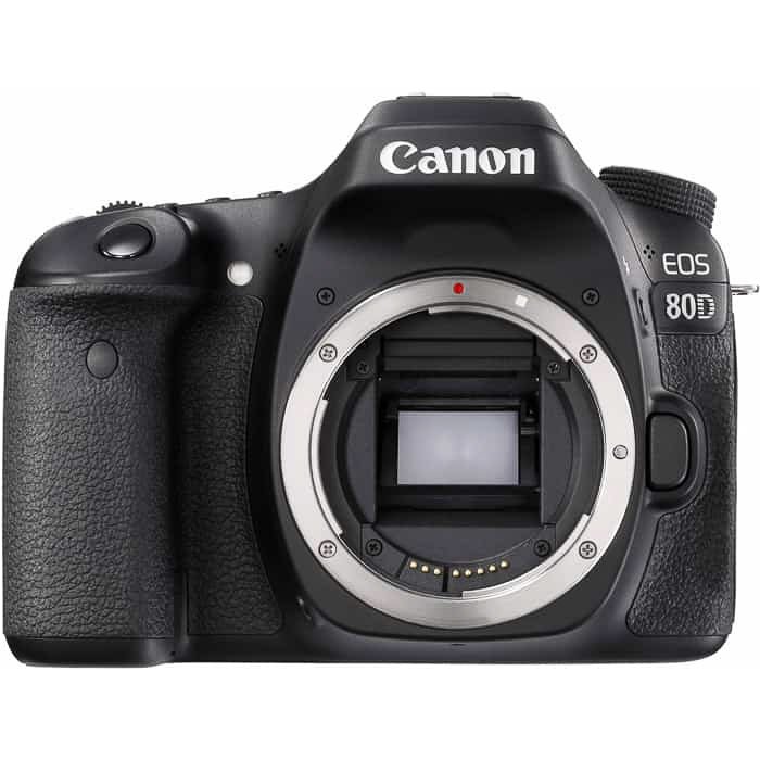 A Canon EOS 80D body
