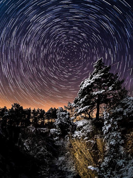 Потрясающее изображение ночного неба, сосна на переднем плане, звездные следы на заднем плане