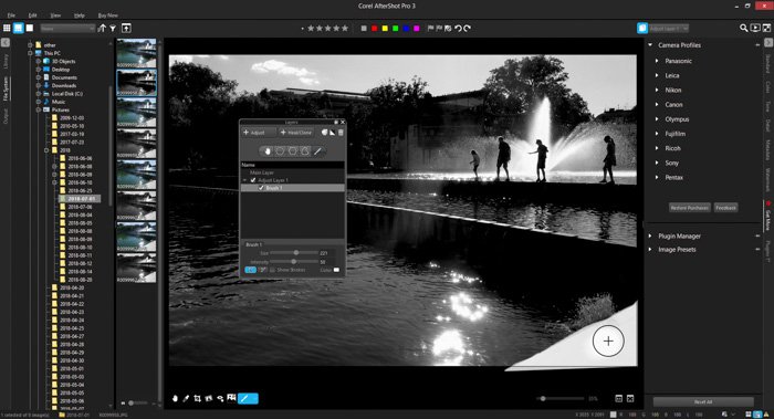 Скриншот использования слоев в обзоре AfterShot Pro 3