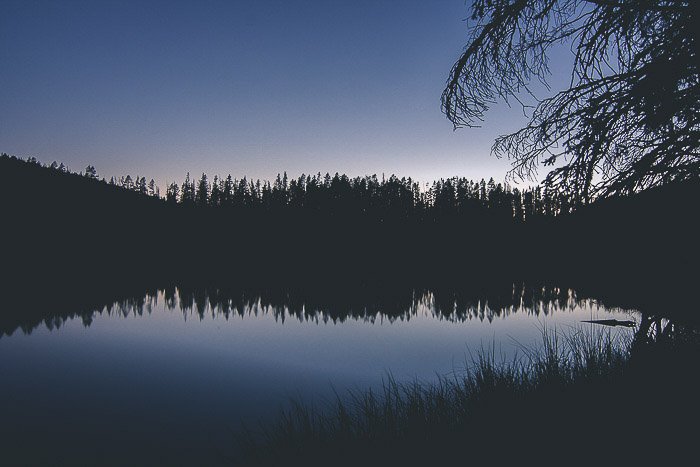 Красивая фотография отражения при слабом освещении силуэтов деревьев над озером и отражающихся в нем