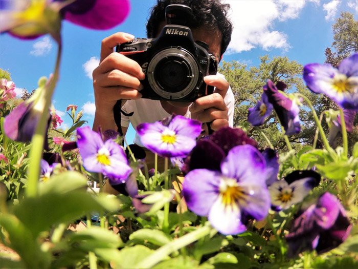 Фотограф использует реверсивный рин-гс для макросъемки цветов