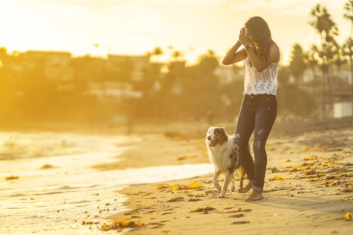 Вечерний портрет женщины и собаки, гуляющих по пляжу - фотография и закон
