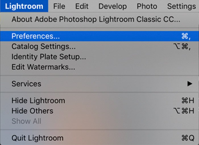 Скриншот, показывающий, как организовать фотографии в lightroom