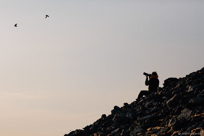 Фотограф дикой природы снимает птиц
