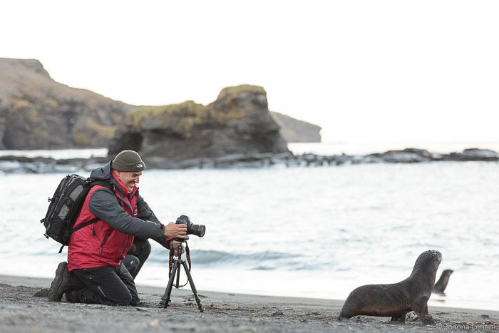 Фотограф дикой природы снимает портрет тюленя на пляже