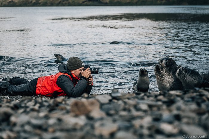 Фотограф дикой природы снимает портрет тюленя на пляже