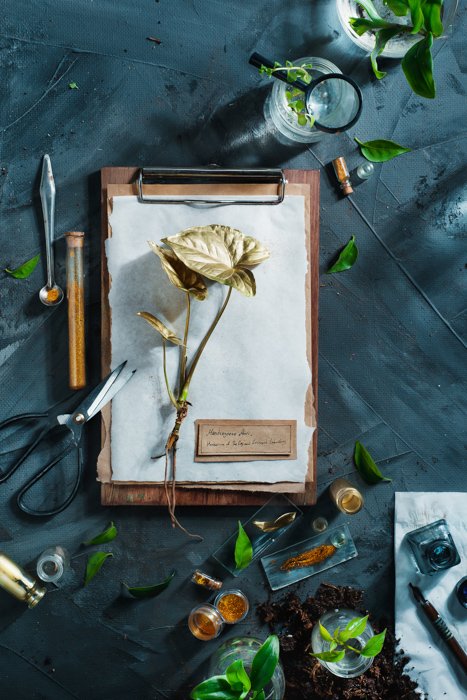 A creative still life photography flat lay on hand painted background 