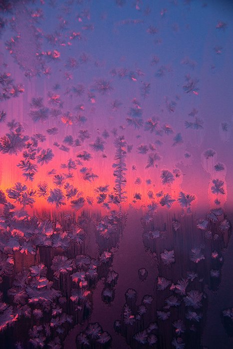 Мечтательная фотография розово-фиолетового света за узорчатым стеклом