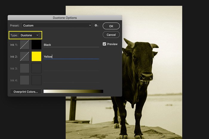 Скриншот преобразования изображения в дуотон в Photoshop - цветовые режимы в фотошопе