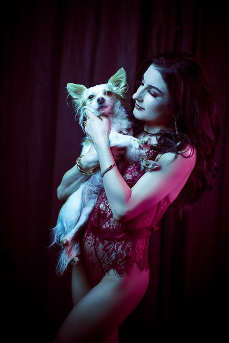 Портрет гламурной женщины-модели, позирующей на темном фоне с маленькой собачкой - искусственное студийное освещение