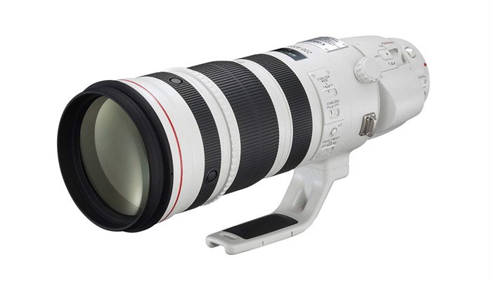 Изображение зум-объектива Canon 200-400mm f/4L IS USM Extender 1.4x super-telephoto