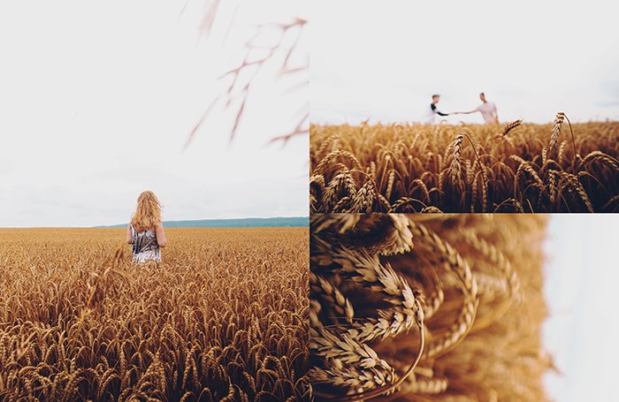 Пример фотографии триптиха с тремя видами человека, позирующего на кукурузном поле