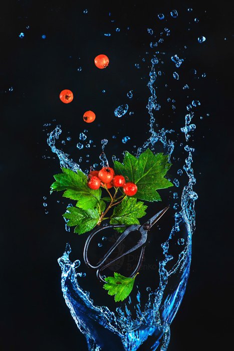 Креативный кадр фуд-фотографии падающих ягод и брызг воды