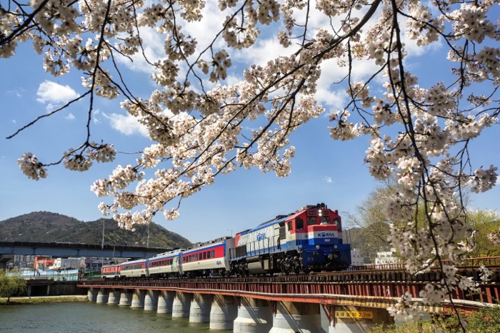 Поезд, проезжающий через мост с цветами на переднем плане - советы по фотографии поездов