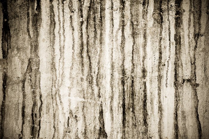 A grunge background of grainy wood - edgy photos
