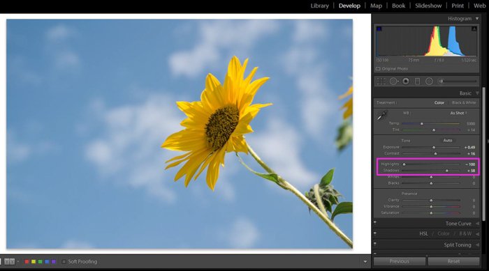Скриншот о том, как редактировать садовые фотографии в Lightroom