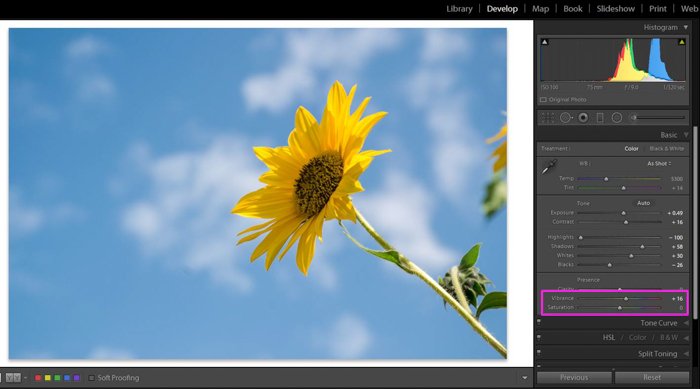 Скриншот о том, как редактировать садовые фотографии в Lightroom