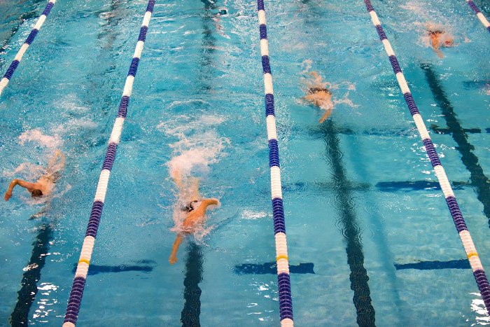 Overhead action shot of swimmers racing in the pool - how to take swimming pictures