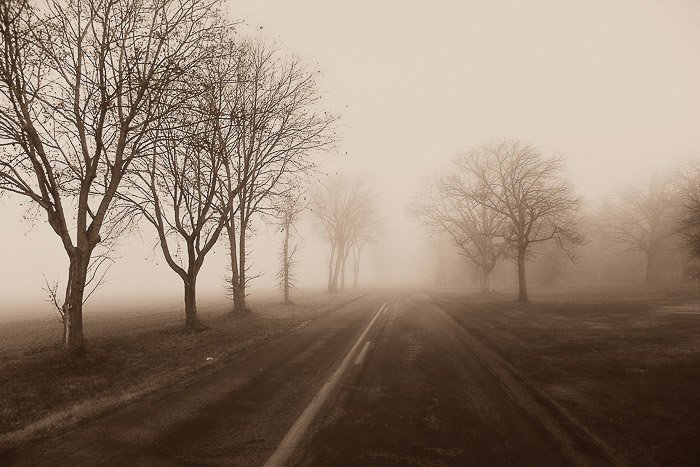 Туманный пейзаж и дорога