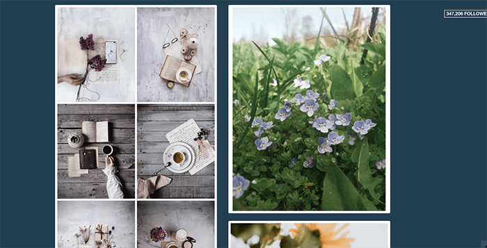 Скриншот из фотоблога Floralls Tumblr