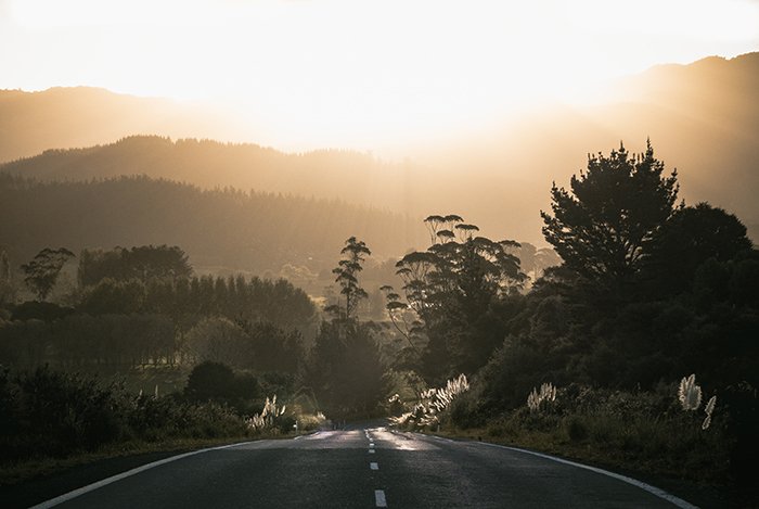 Золотой час в сельской местности Новой Зеландии. красивые фотографии новой Зеландии
