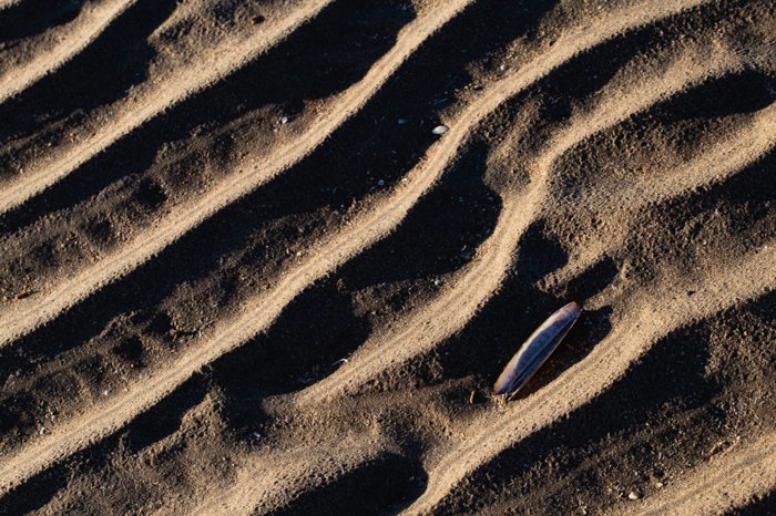 примеры макросъемки узорчатого песка