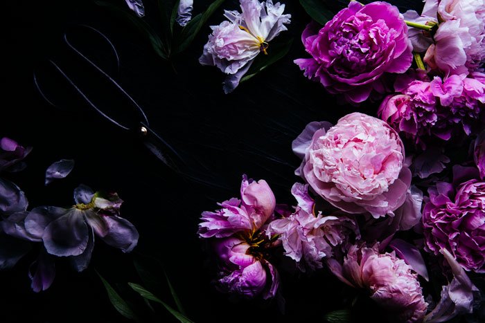 Плоская фотография розовых и фиолетовых цветов, снятая смартфоном